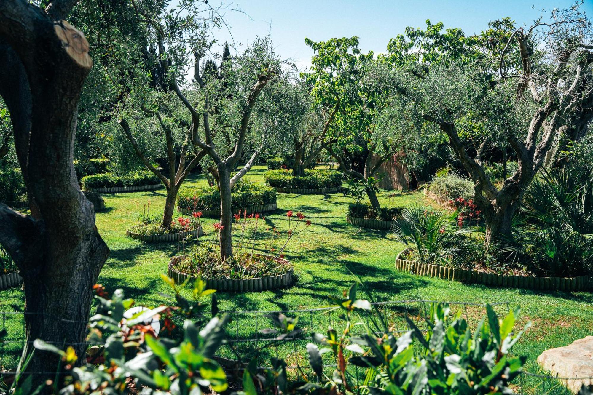 Residence Solemaremma Castiglione della Pescaia Esterno foto
