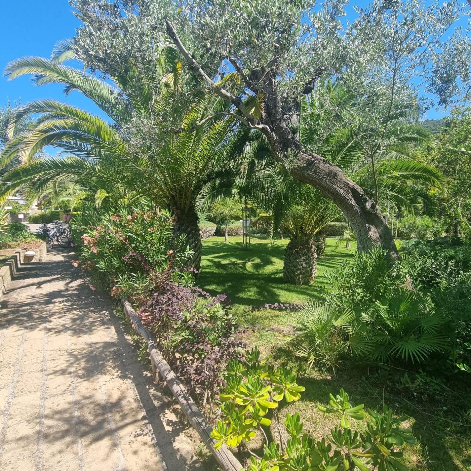 Residence Solemaremma Castiglione della Pescaia Esterno foto