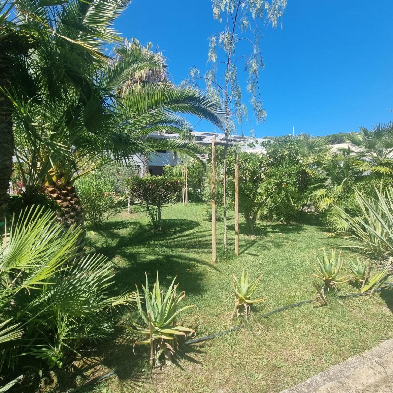 Residence Solemaremma Castiglione della Pescaia Esterno foto
